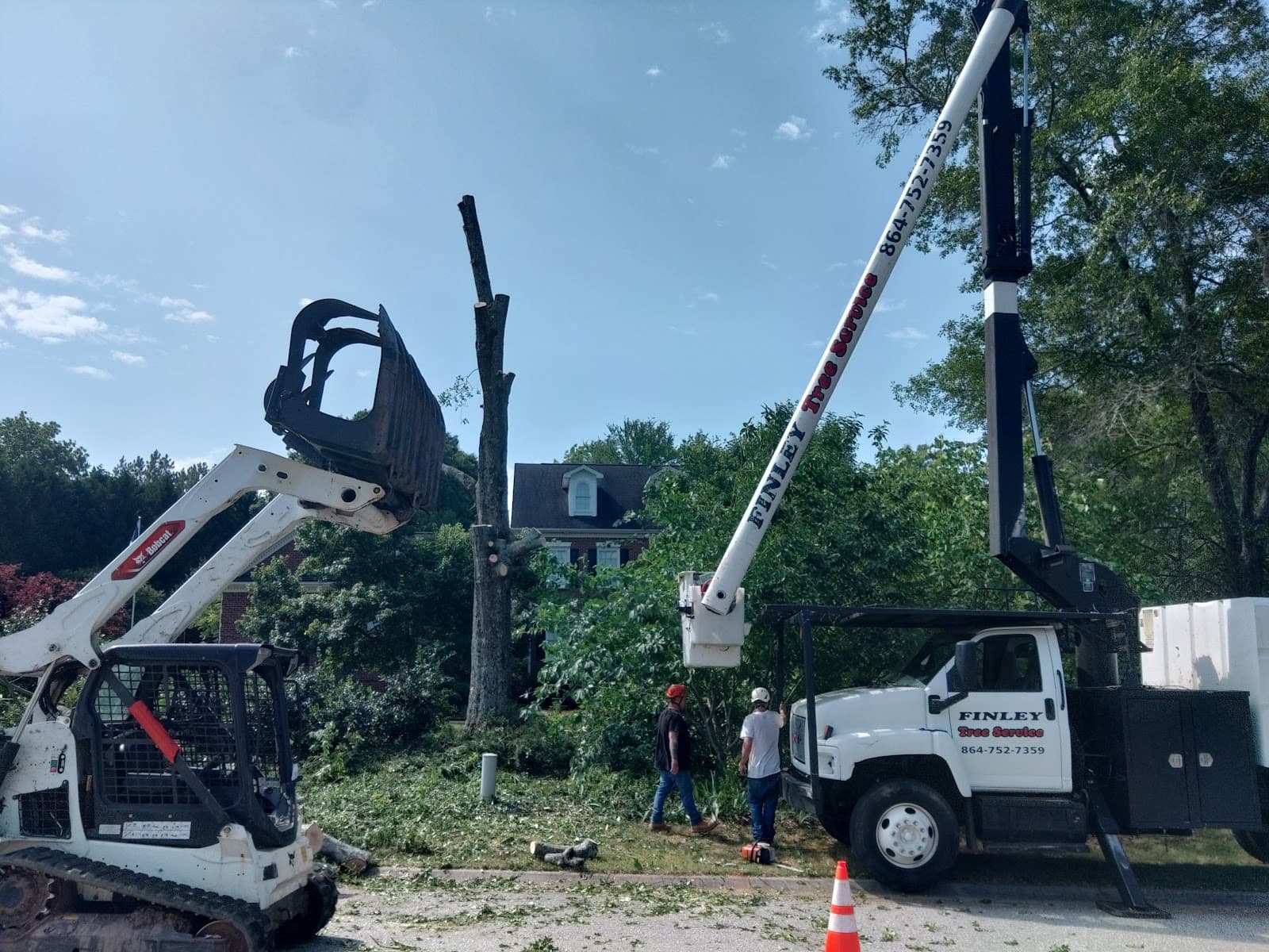 Finley Tree Services