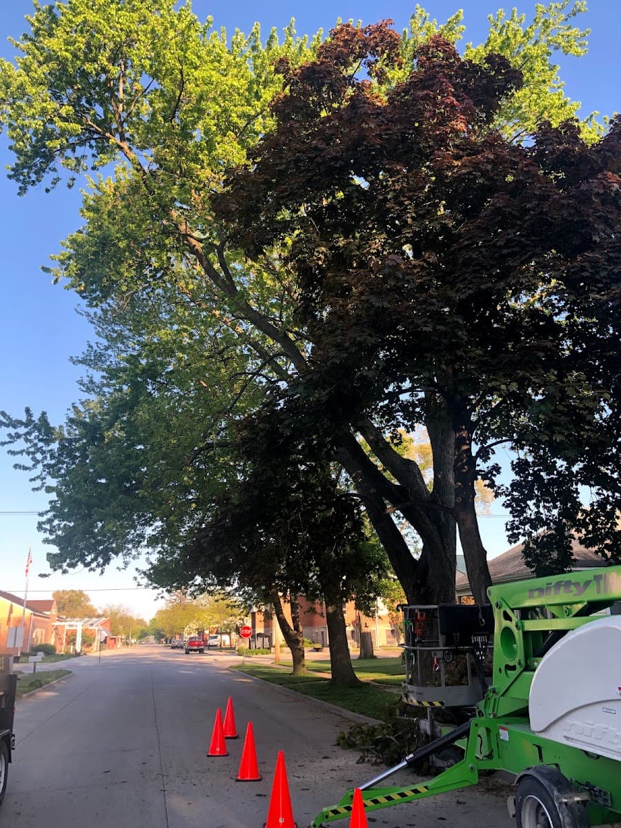 It's Gotta Go Tree Service