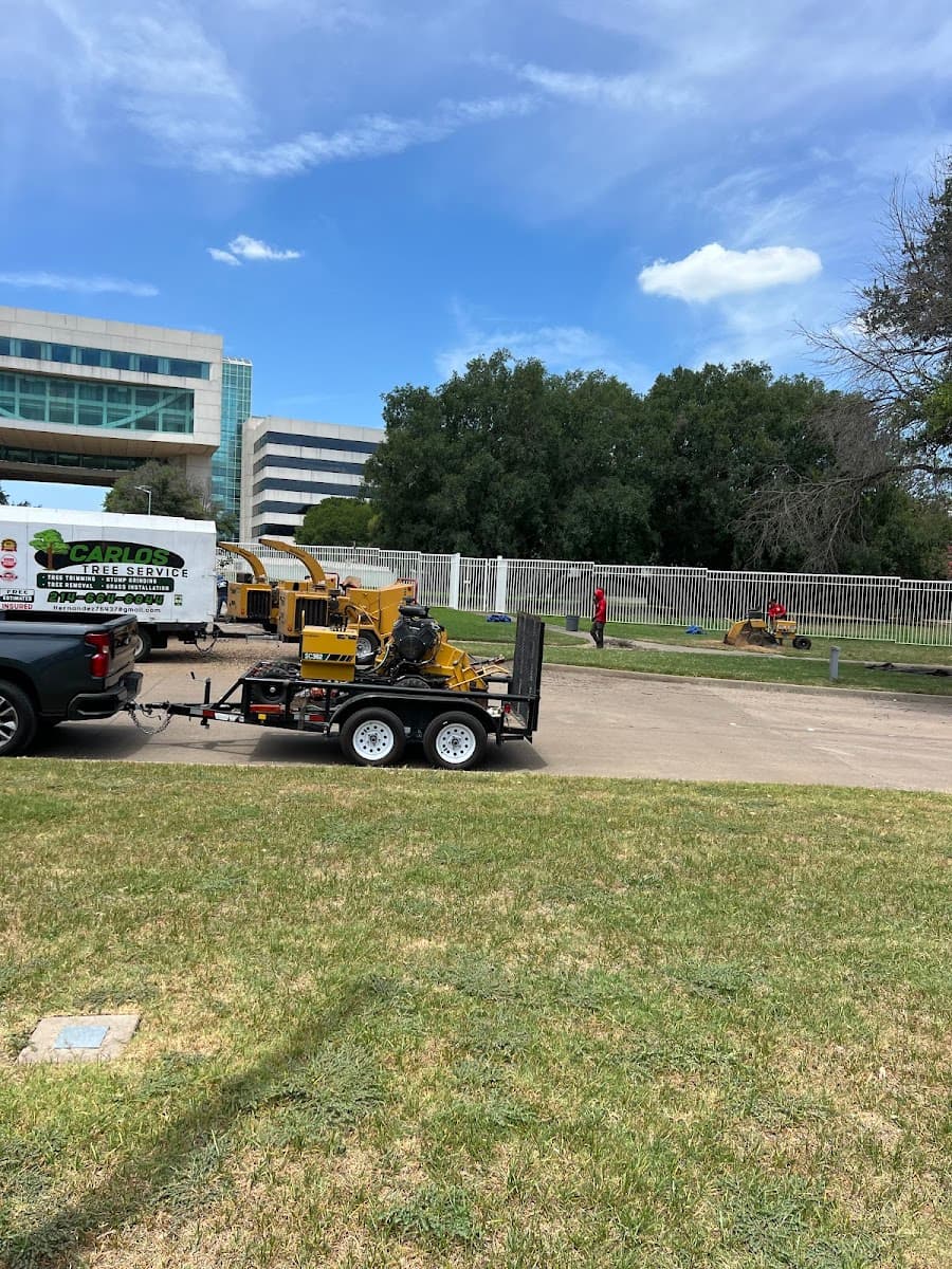 Carlos Tree Service