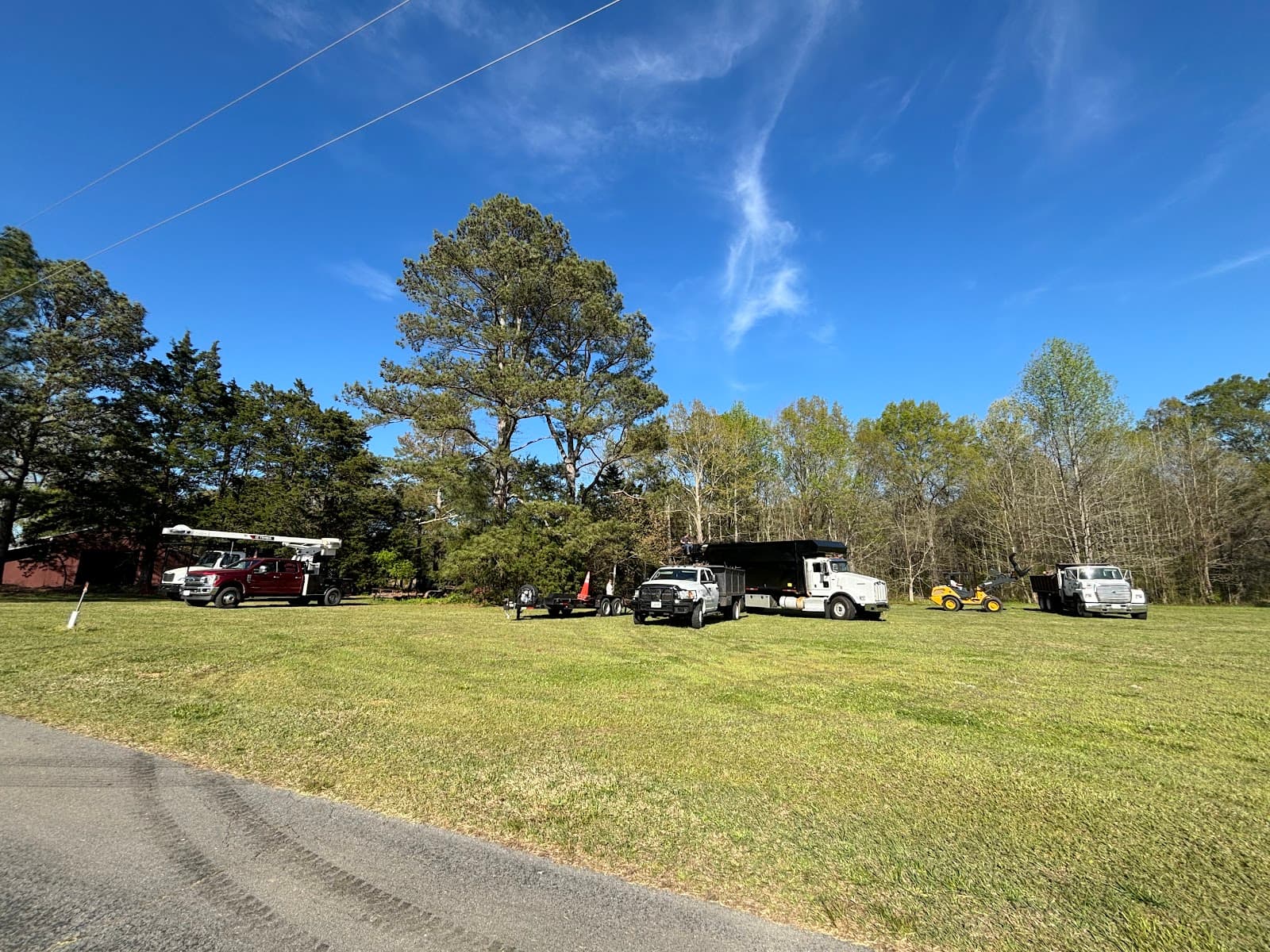 All American Tree Service