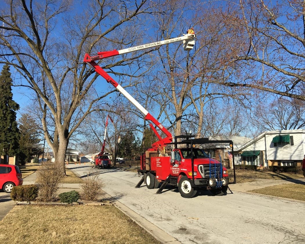 Smitty's Tree Service Inc.