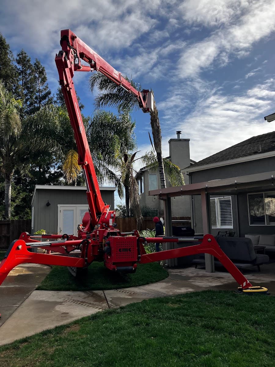 Norcal Arborists Inc.