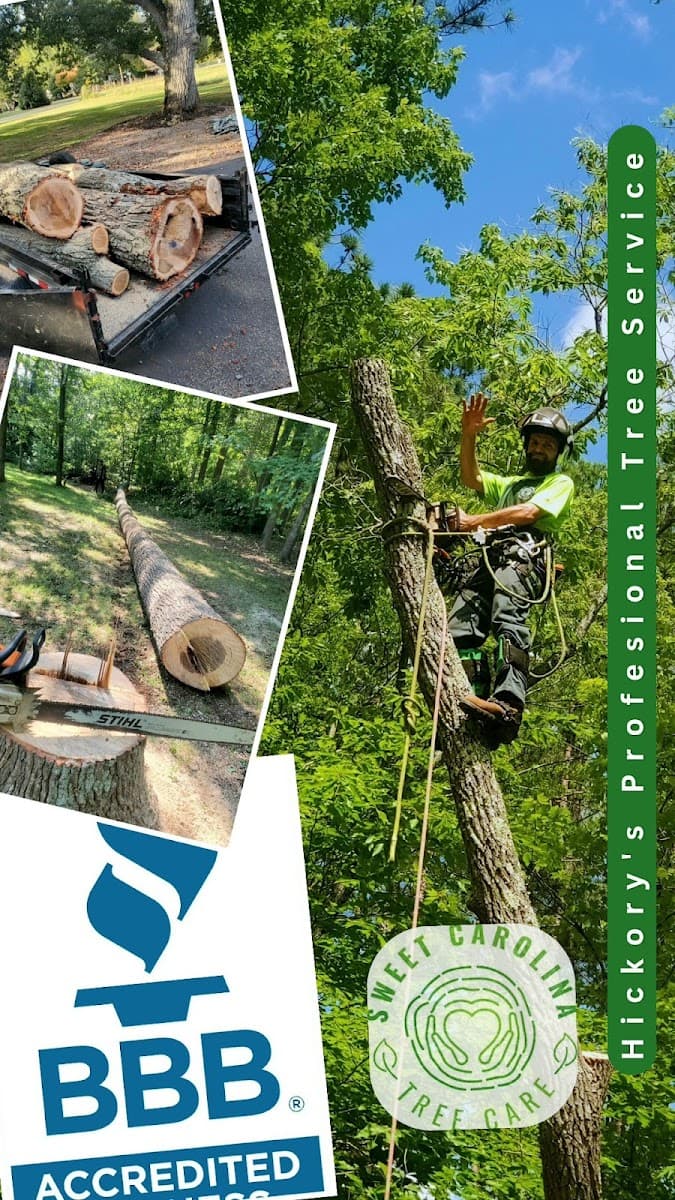 Sweet Carolina Tree Care