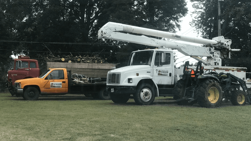 Allegiance Tree Service