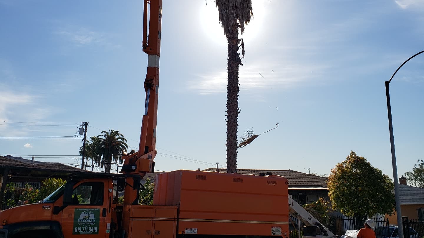 ESCOBAR TREE SERVICE & STUMP GRINDER