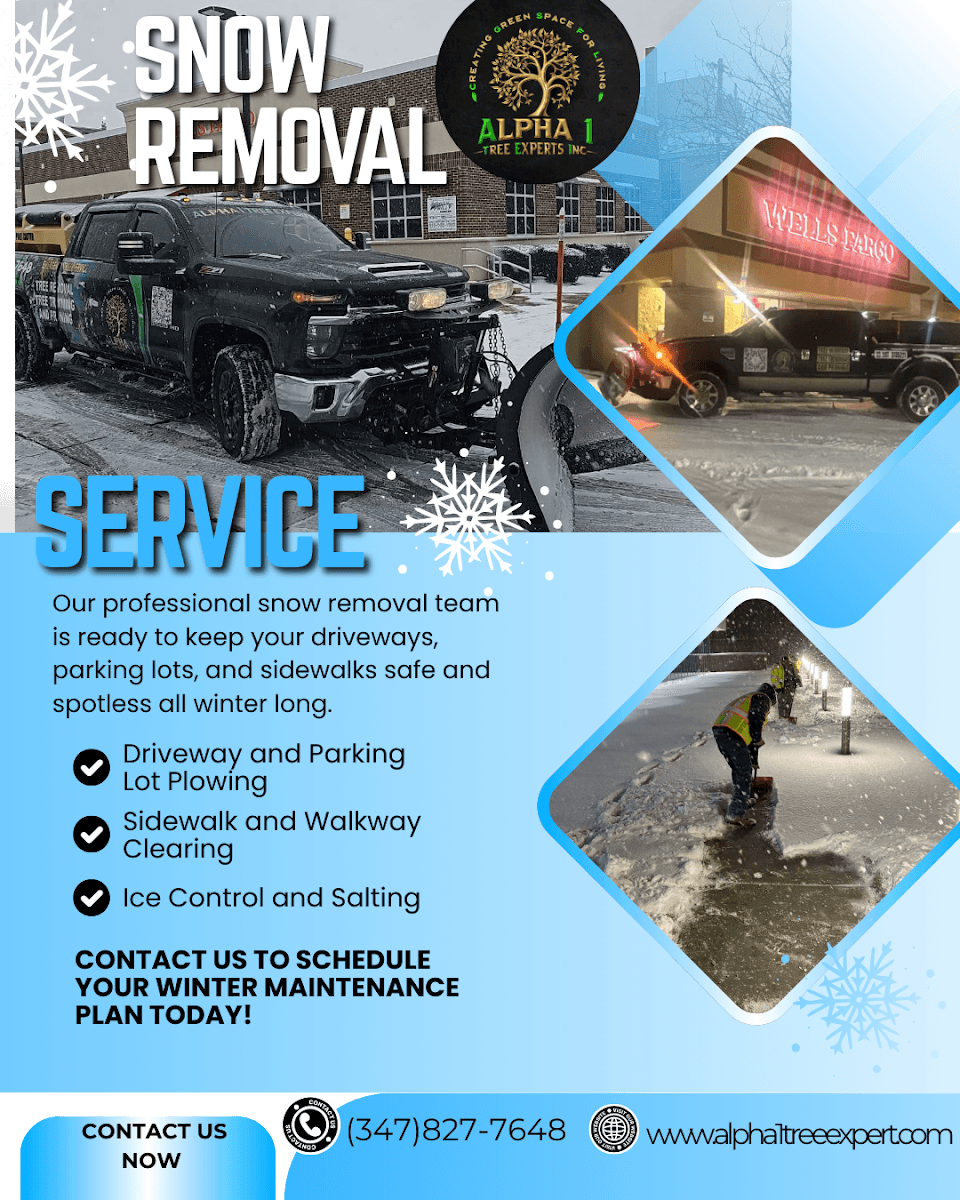 Alpha 1 Tree Experts Inc