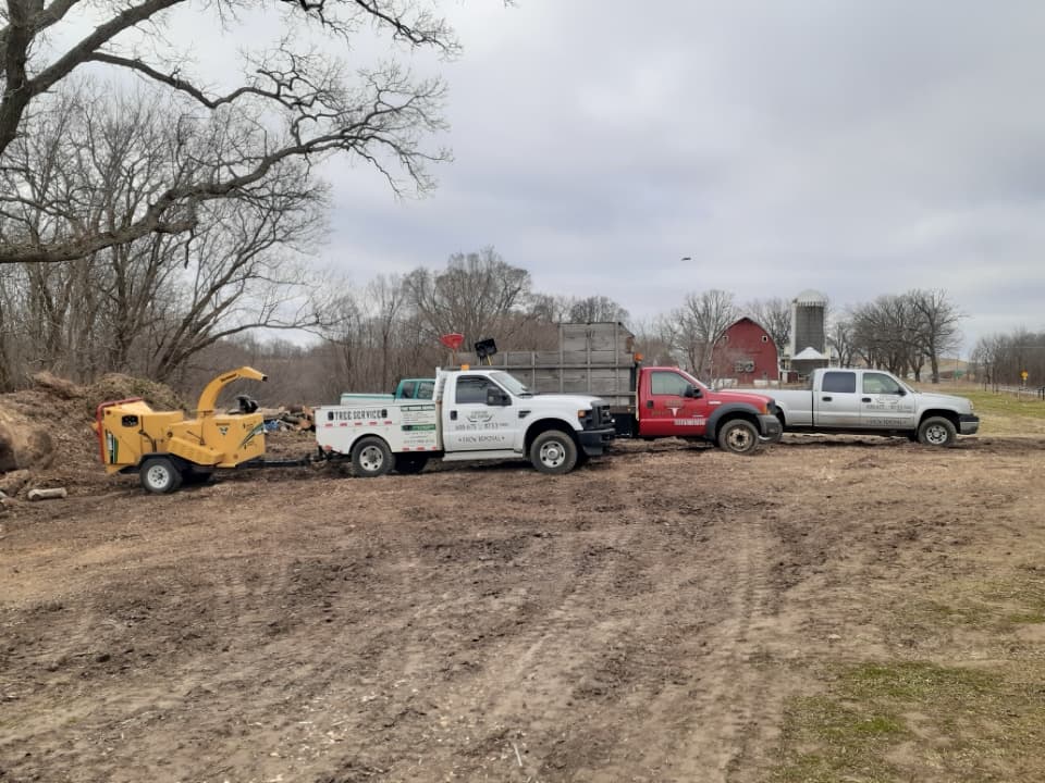 Stockyard Tree Service