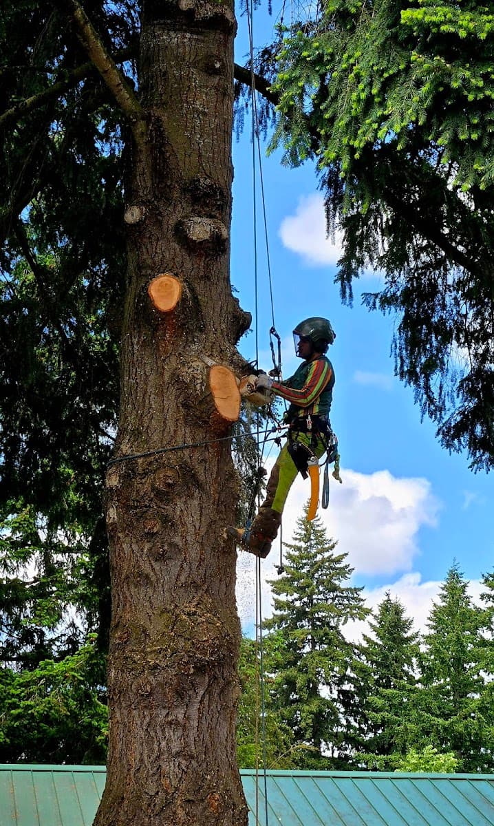 Tree Pros/ Restoration Pruning