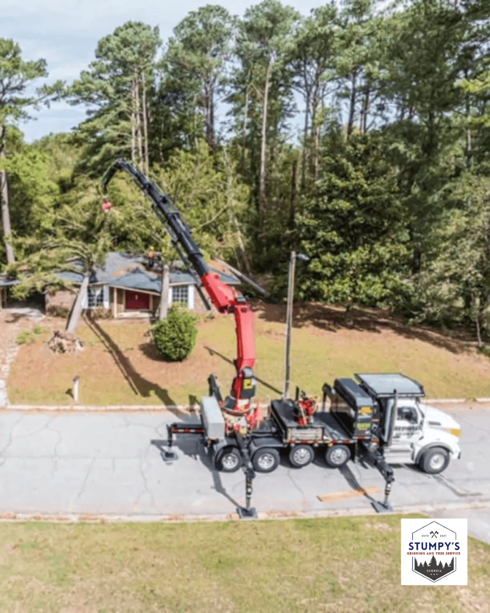 Stumpys Grinding & Tree Service