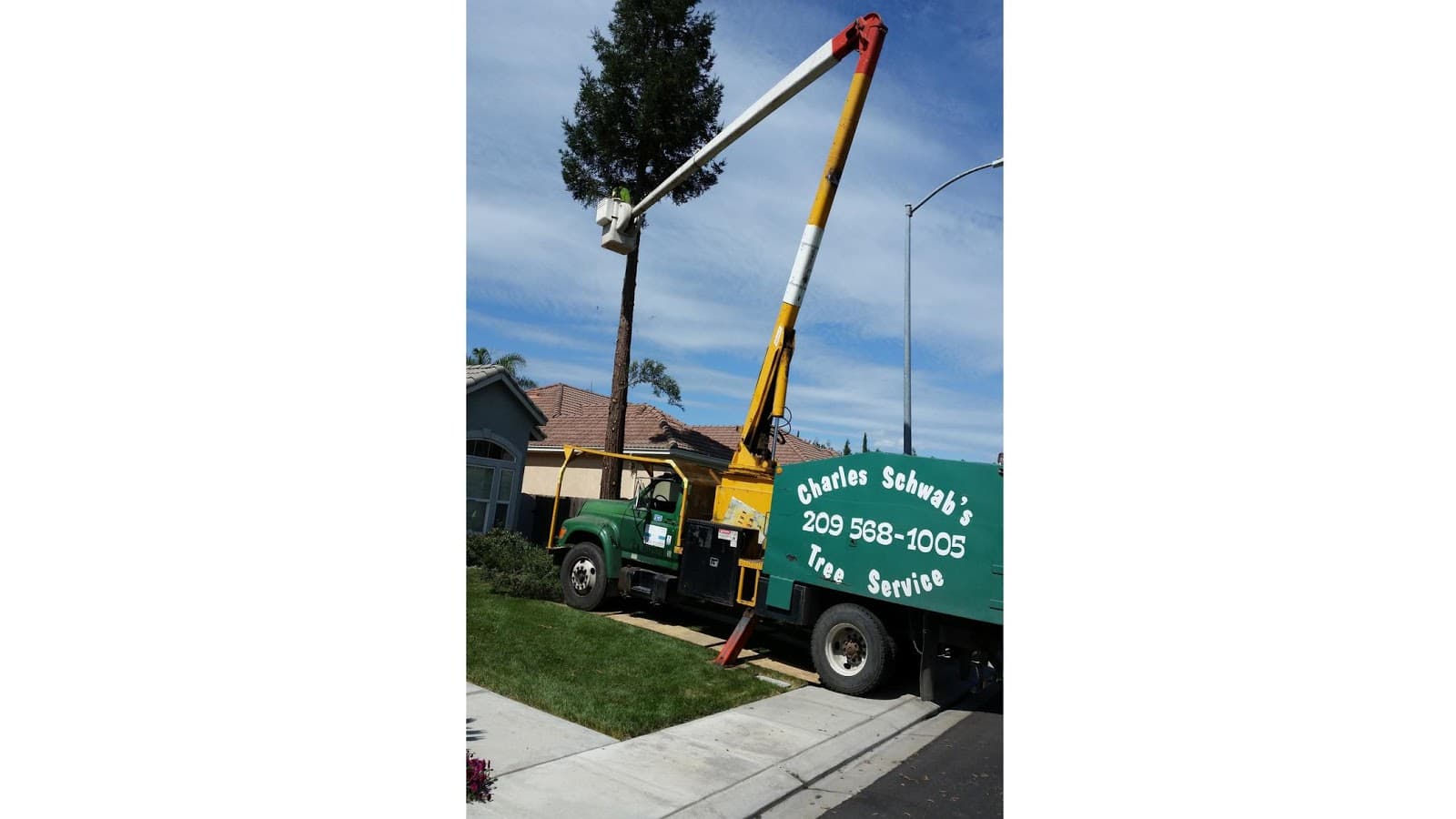 Charles Schwab's Tree Service Inc.