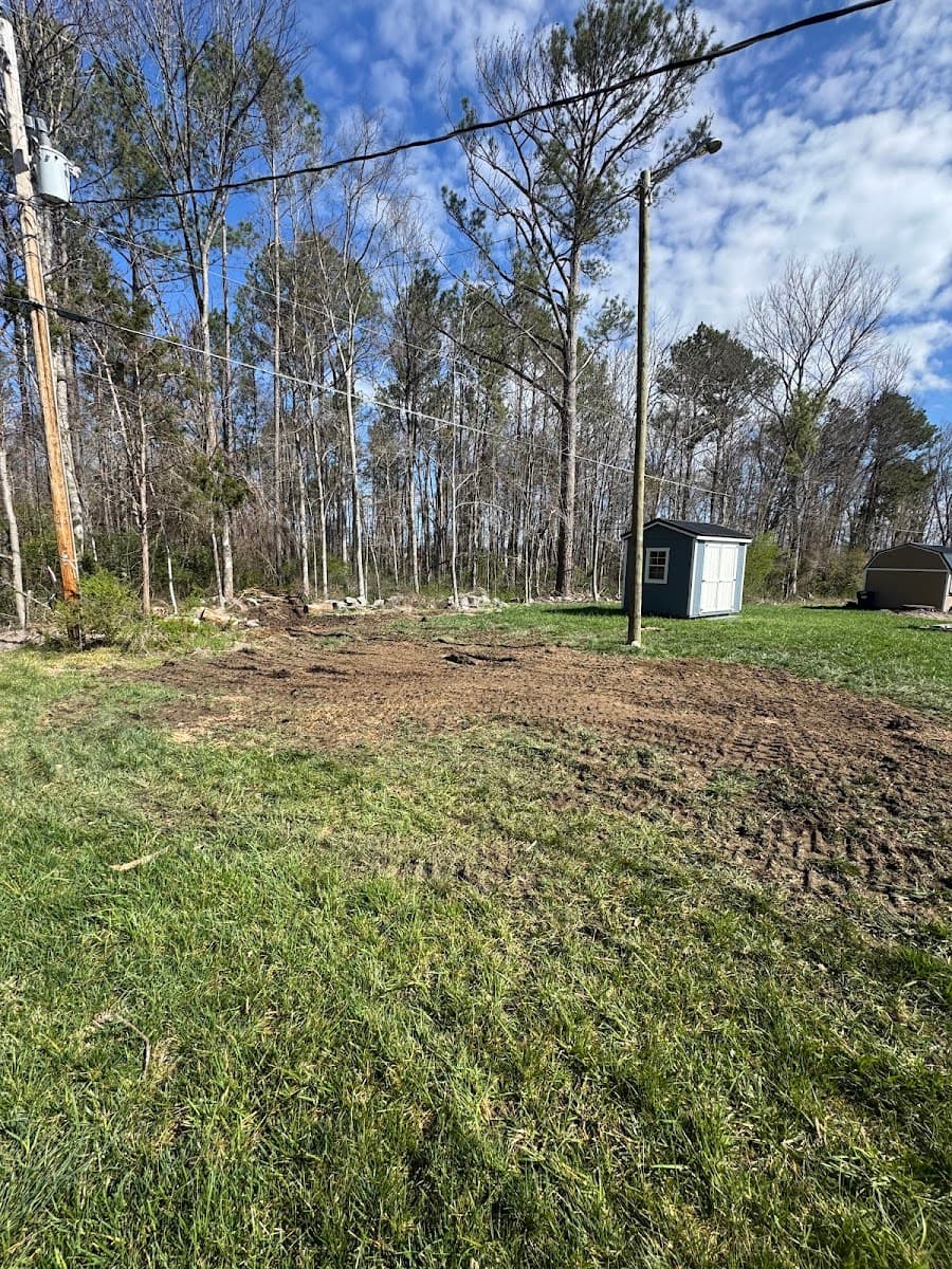 Grind and Gone Stump Grinding