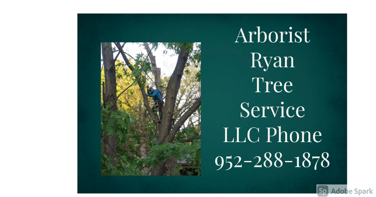 Arborist Ryan Tree Service LLC