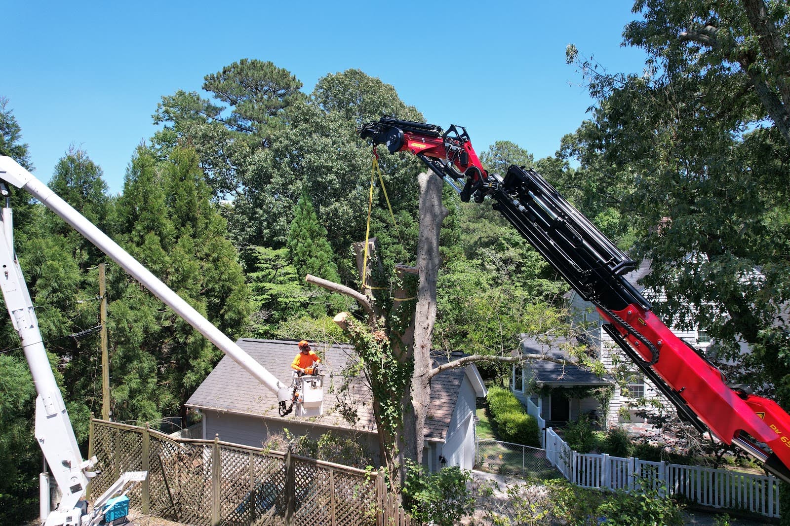 Toler's Tree Service