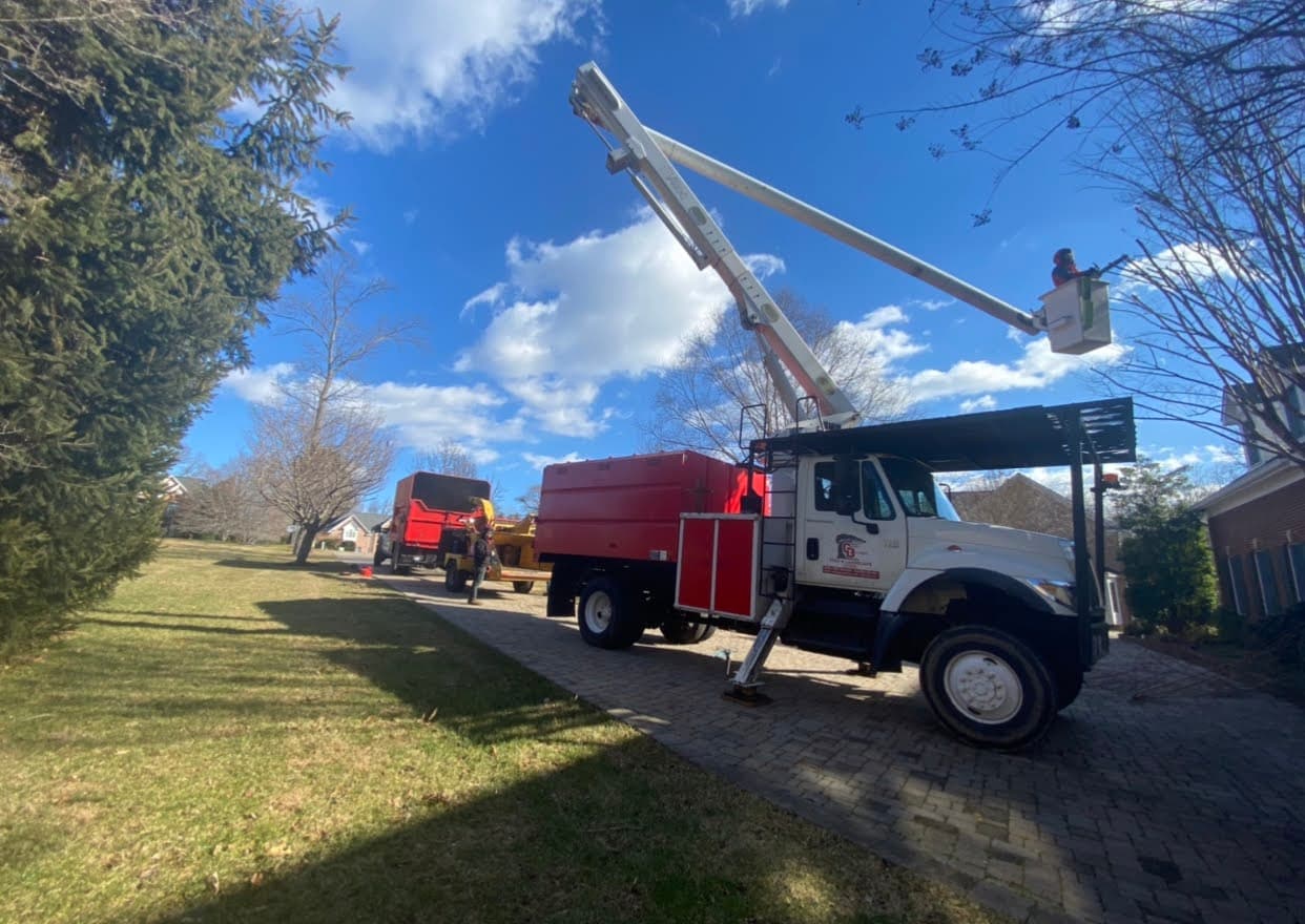 Grant Brothers Tree Service
