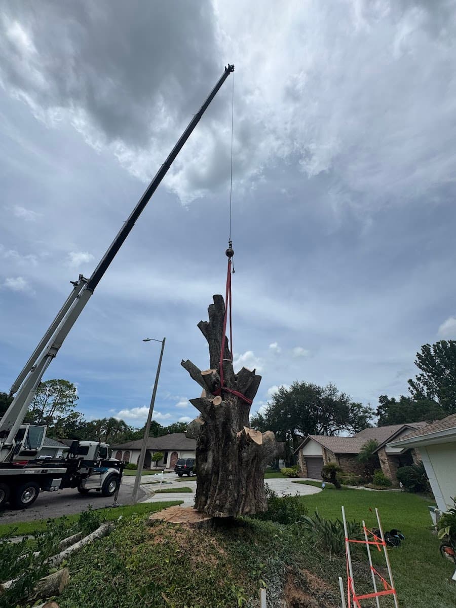 Buccaneer Tree Service