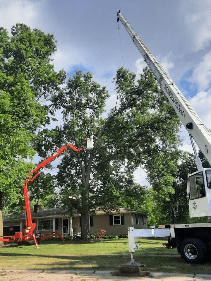 Ghost tree service LLC