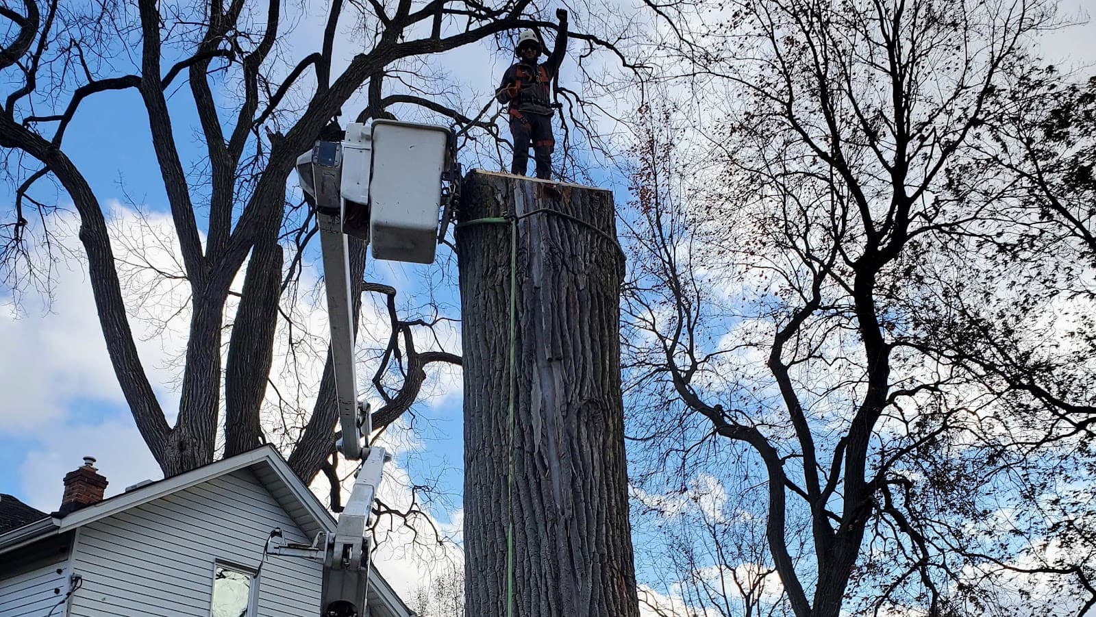 Roque Tree Service