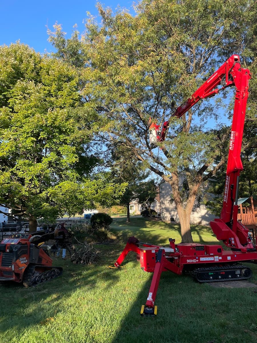 Ahlers Tree Service Inc