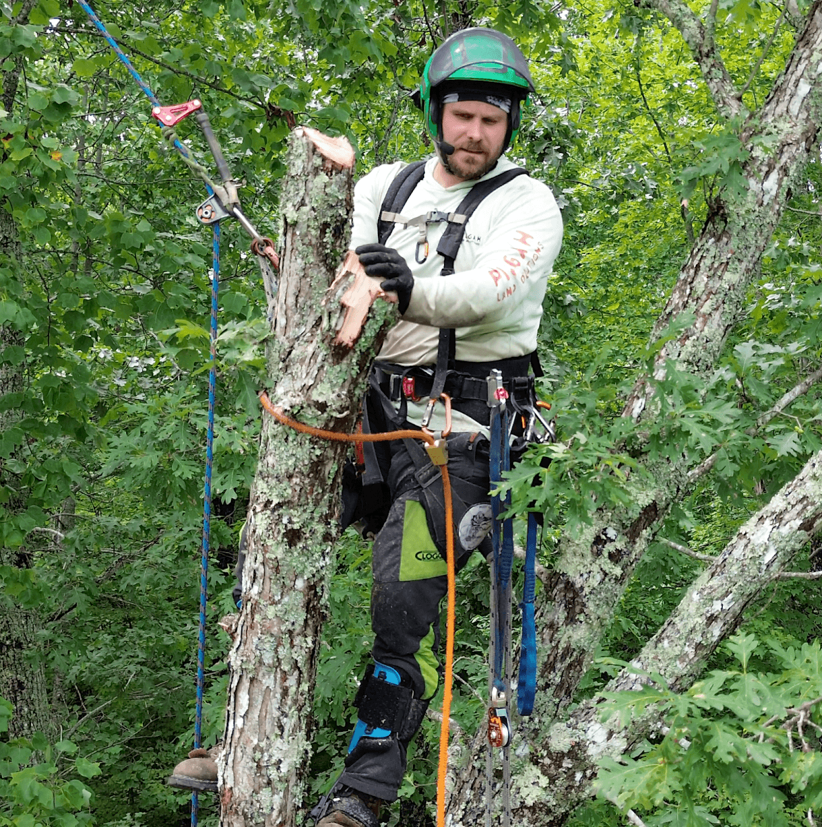 Pisgah Land Solutions Tree Service & Excavation