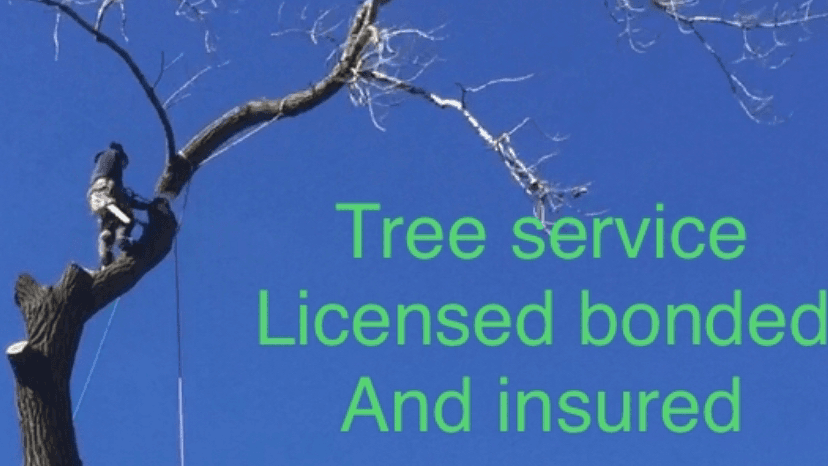 New Look Lawn & Tree Service