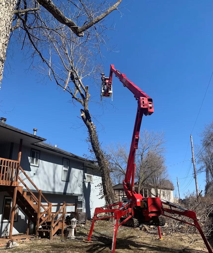 AAA Tree & Landscaping