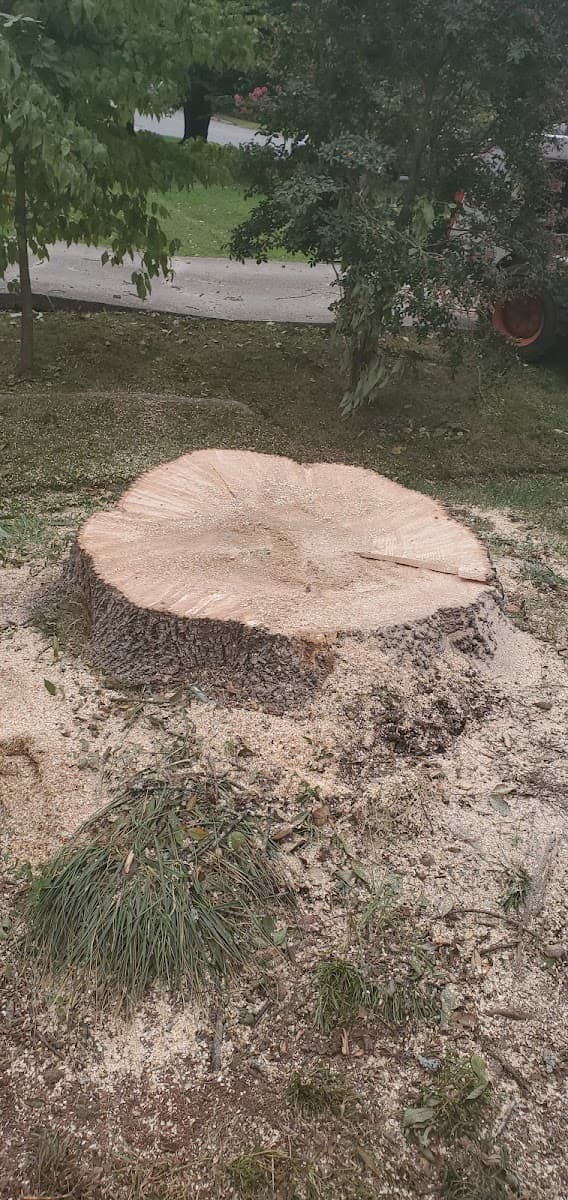 Elevational Heights Tree Care LLC