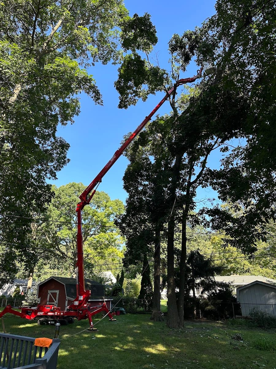 The Bucket List Tree Care