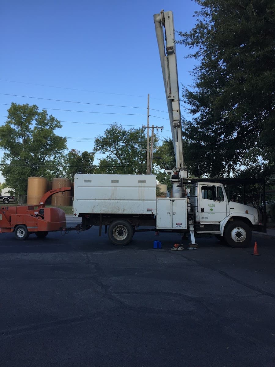 Mullen's Tree Service