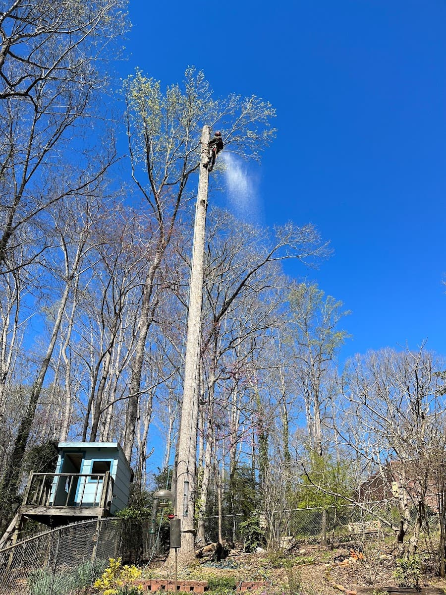 Athens Tree Service, Inc.