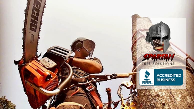 Spartan Tree Solutions, LLC