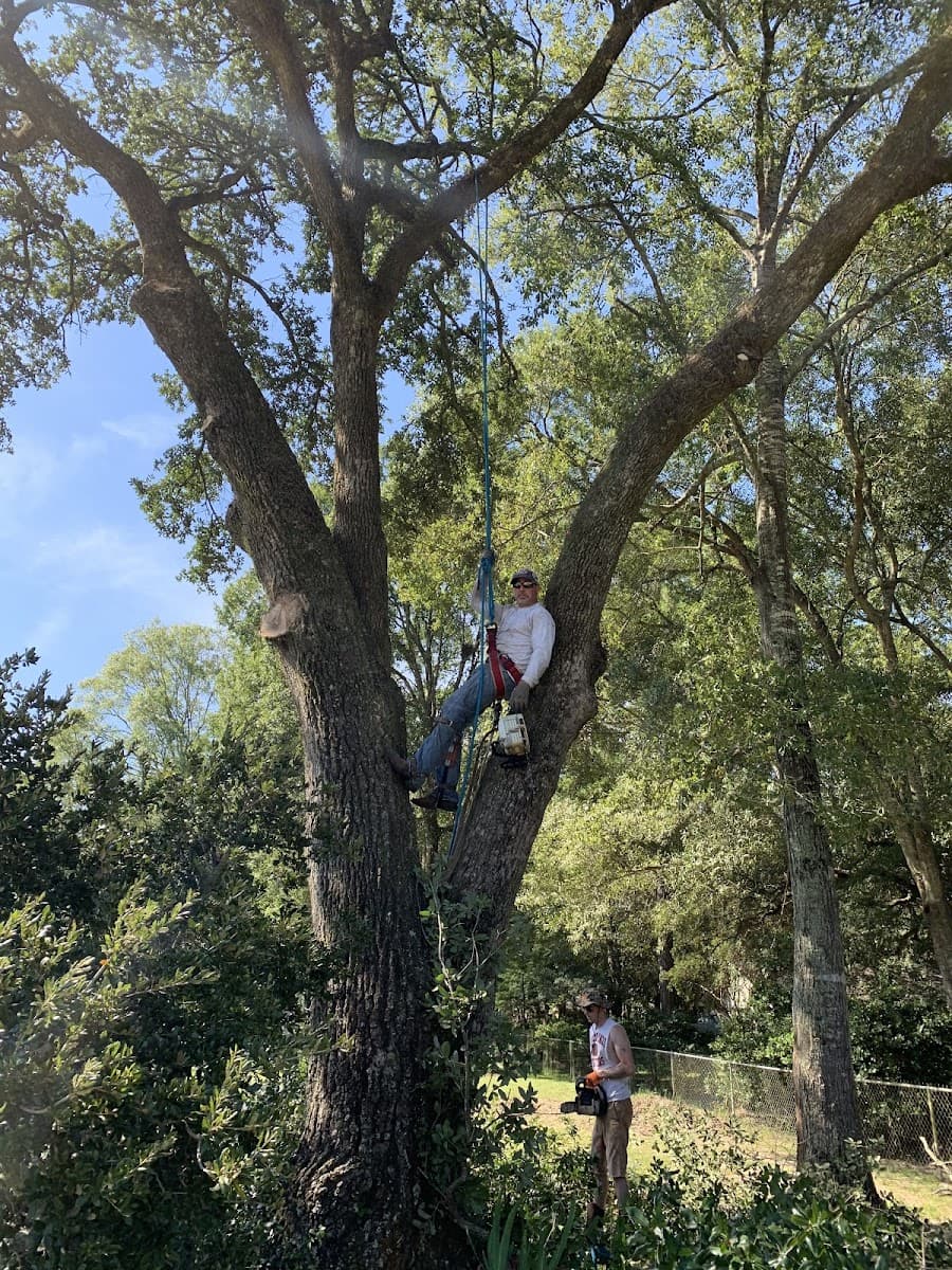 Falcon Tree Service LLC