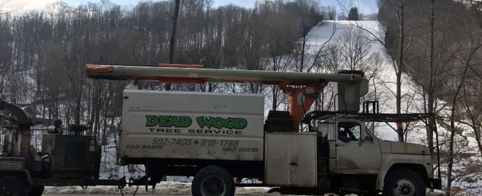 Deadwood Tree Service
