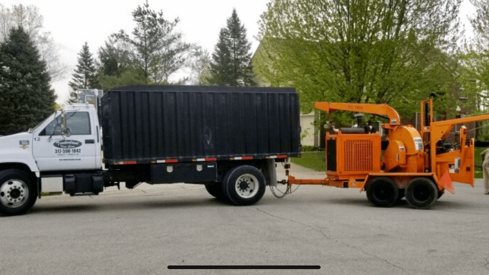 Timberland Tree Care