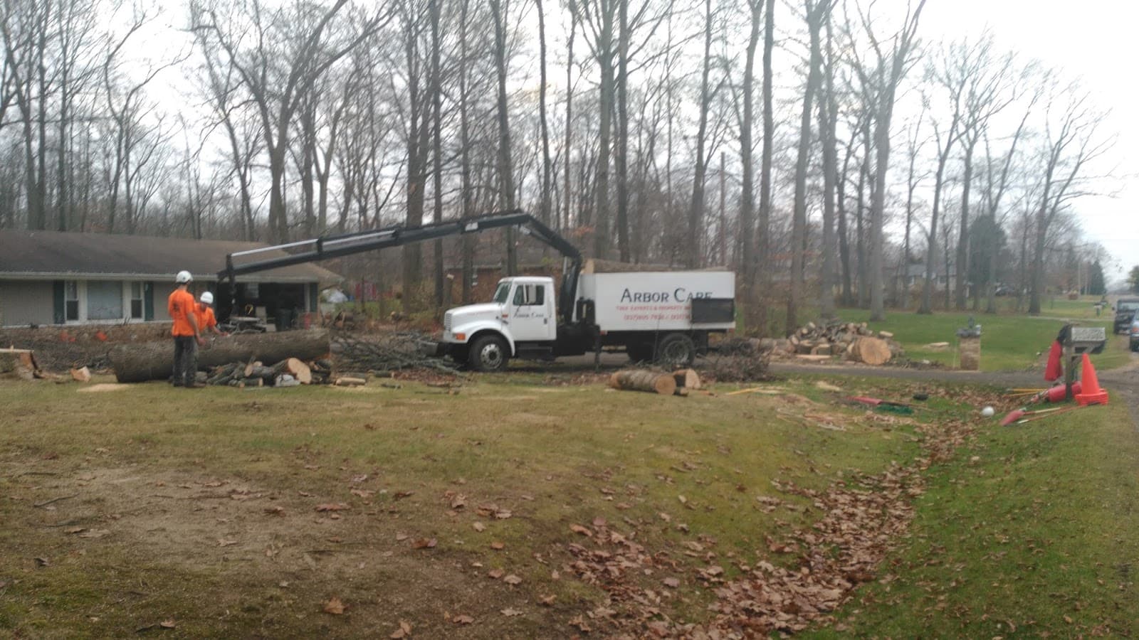 Arbor Care Tree Experts And Property Maintenance