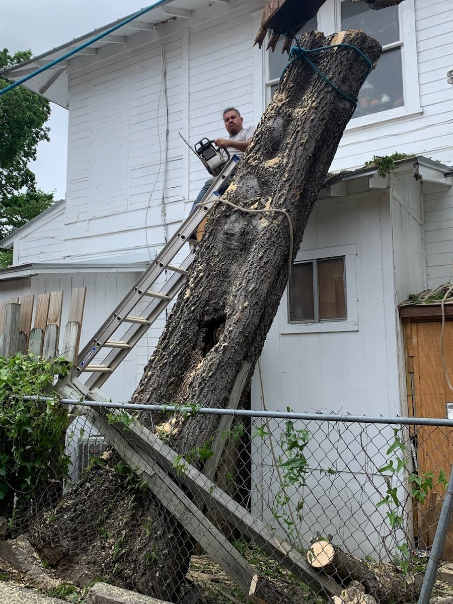 Roberts Tree Service