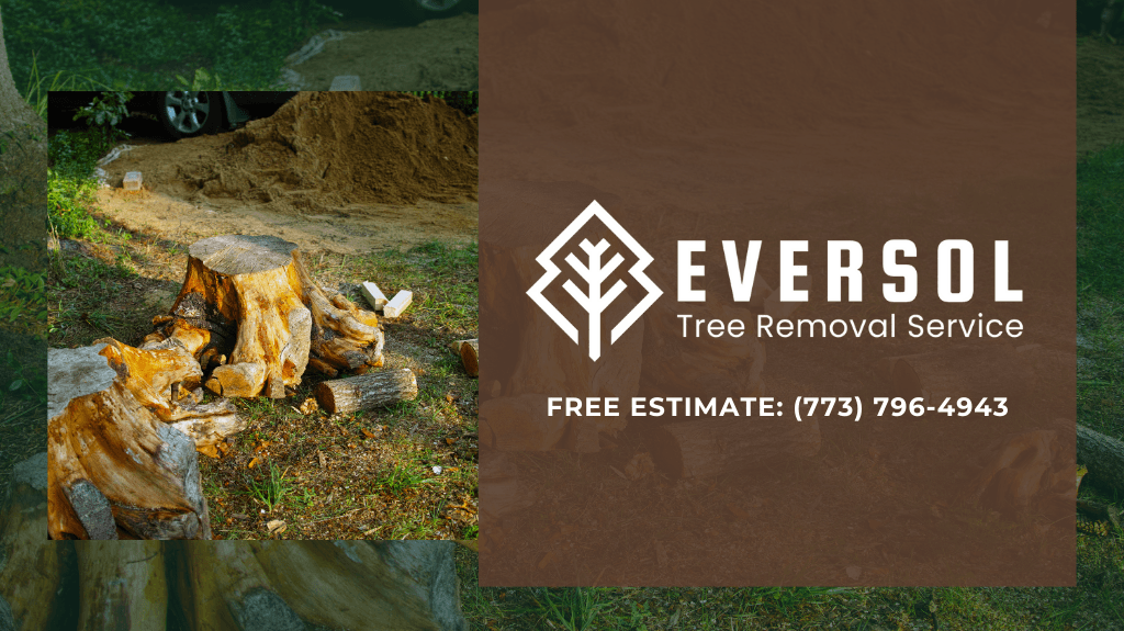 EverSol Tree Removal Service