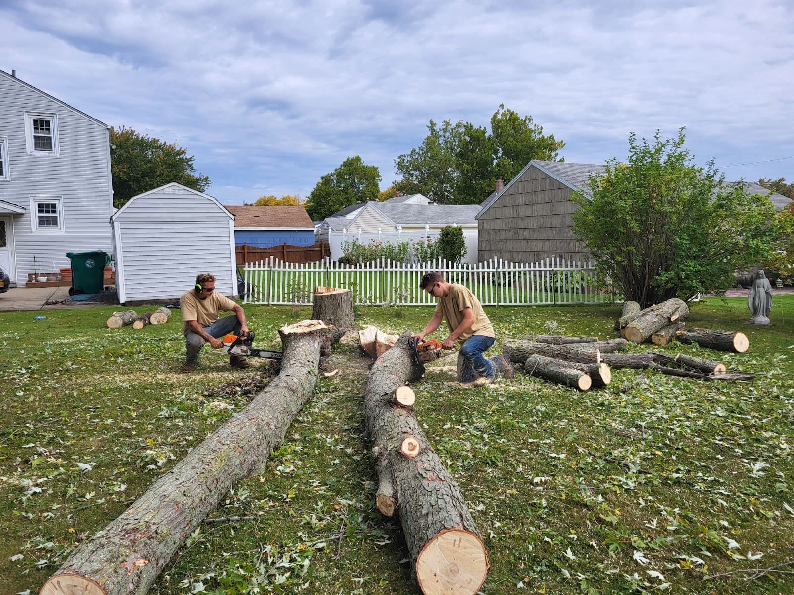 Ridgeview Tree Service