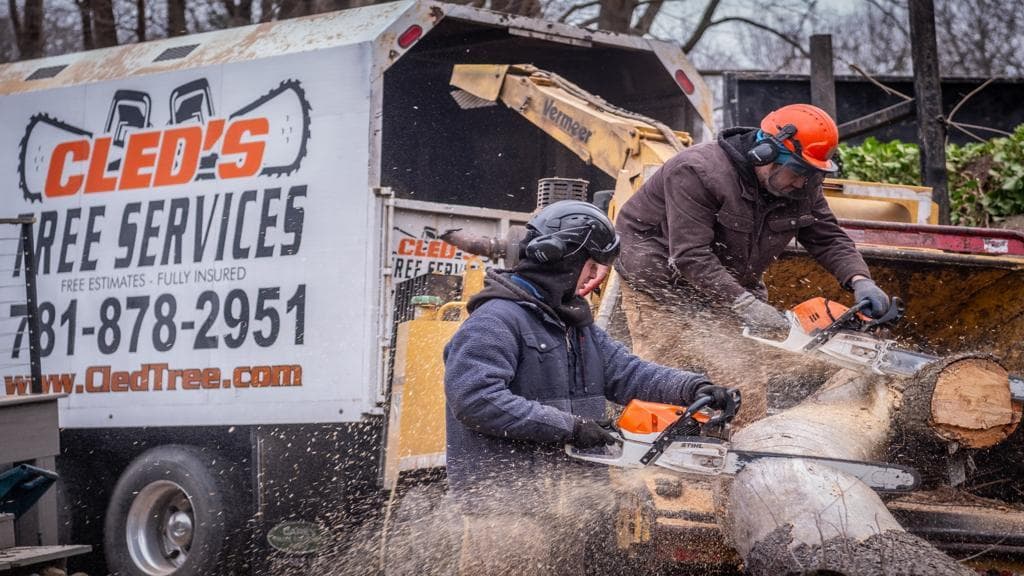 Cleds Tree Services