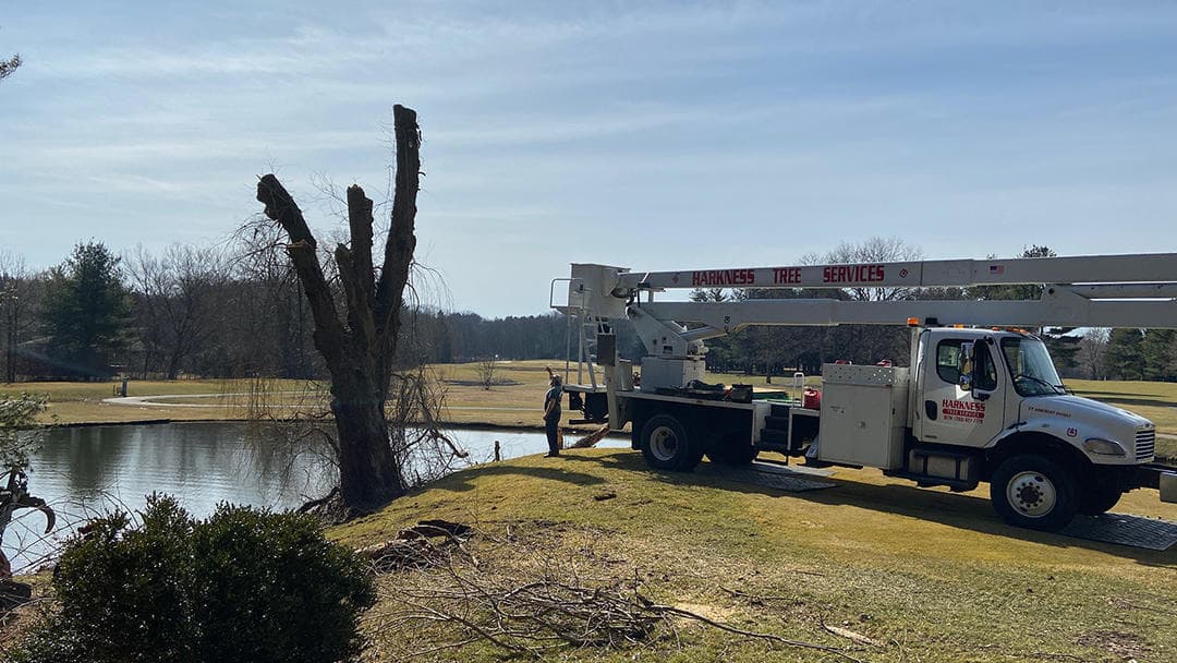 Harkness Tree Services, LLC