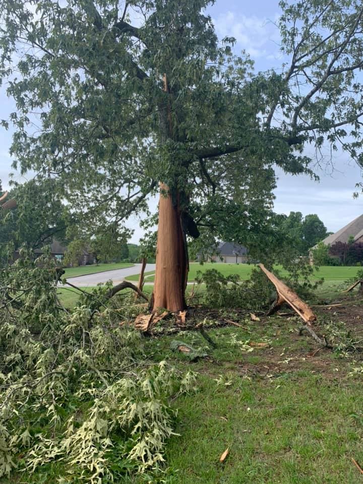Prairie Grove Tree Service