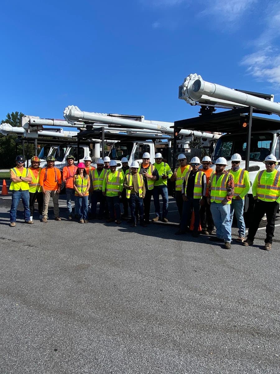 American Forestry Services LLC