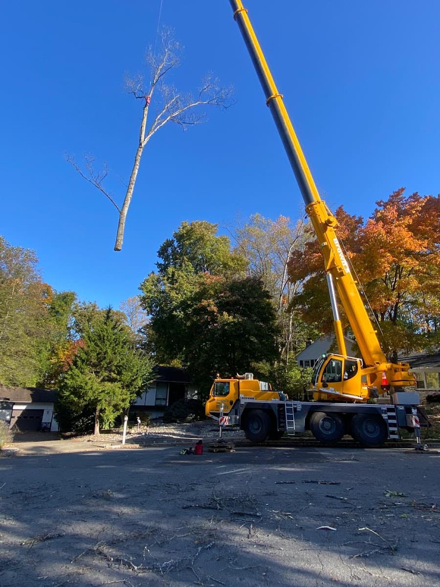 JCM Tree Service