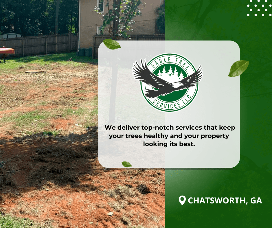 Eagle tree services LLc | Tree Trimmers | Tree Pruning Services | Tree Stump Removal | Land Clearing Companies | GA