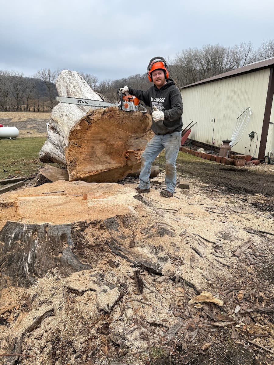 La Crosse Tree & Stump LLC.