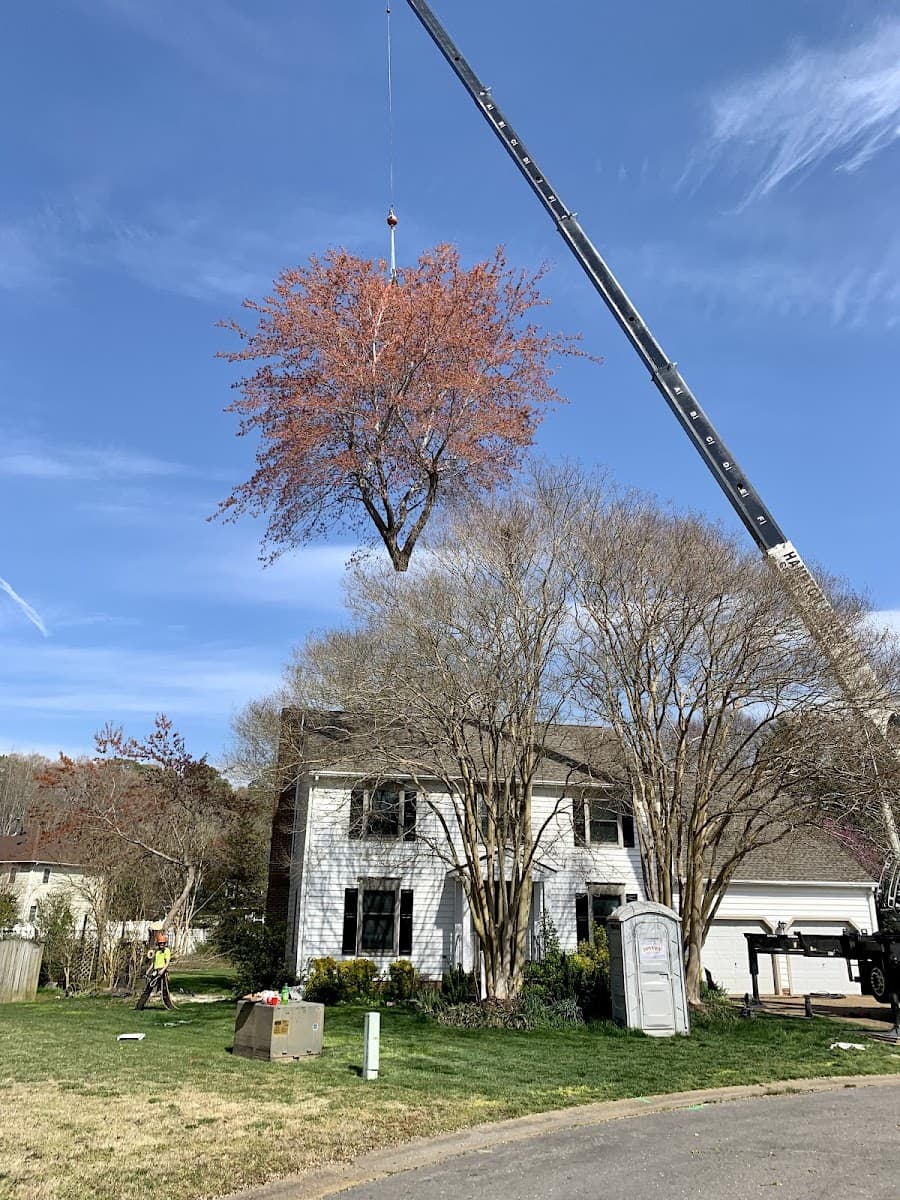 Bayview Tree Service