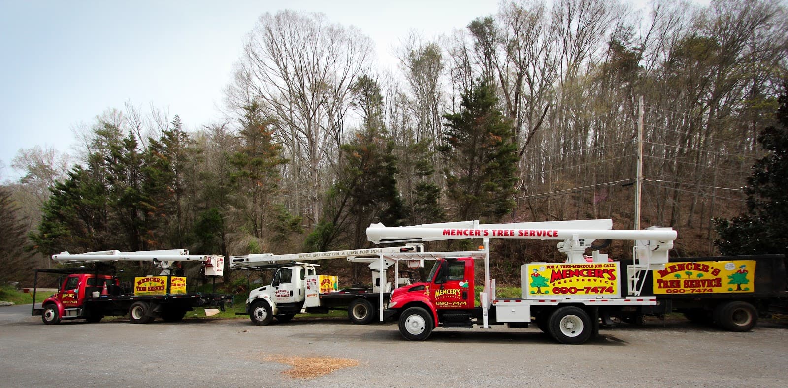 Mencer's Tree Service
