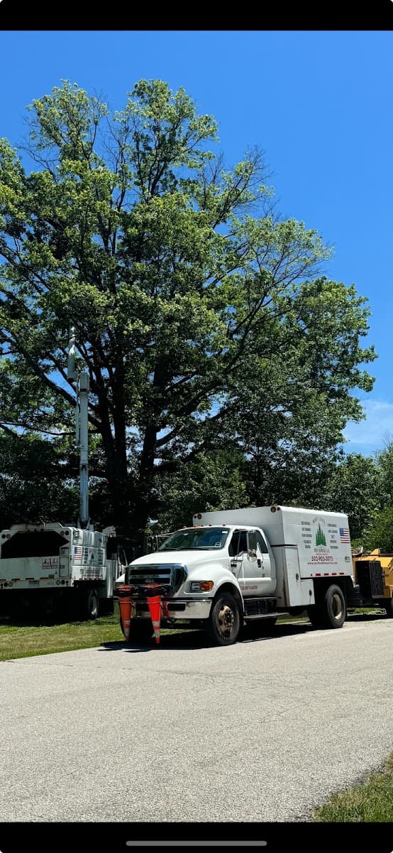 Next Level Tree Service