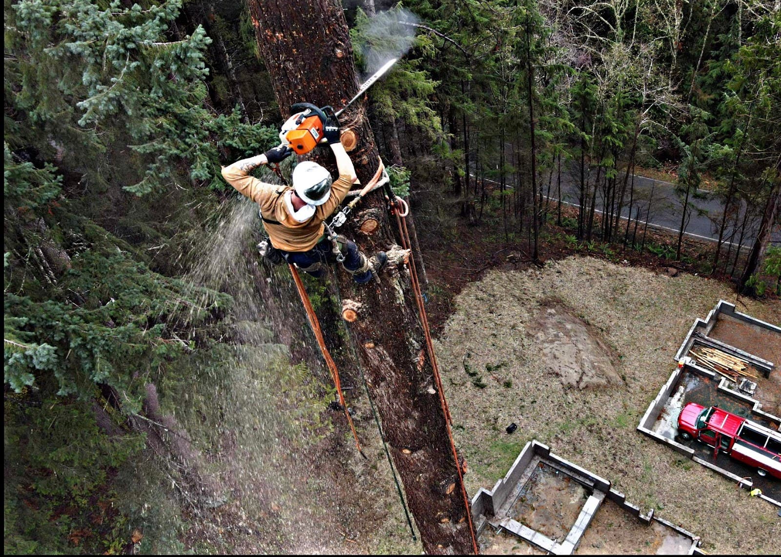 Dreyers Tree Service