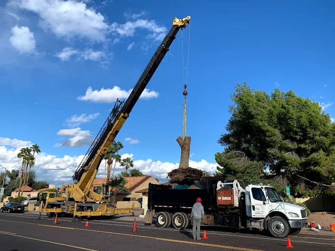 ArborCraft Tree Service Phoenix
