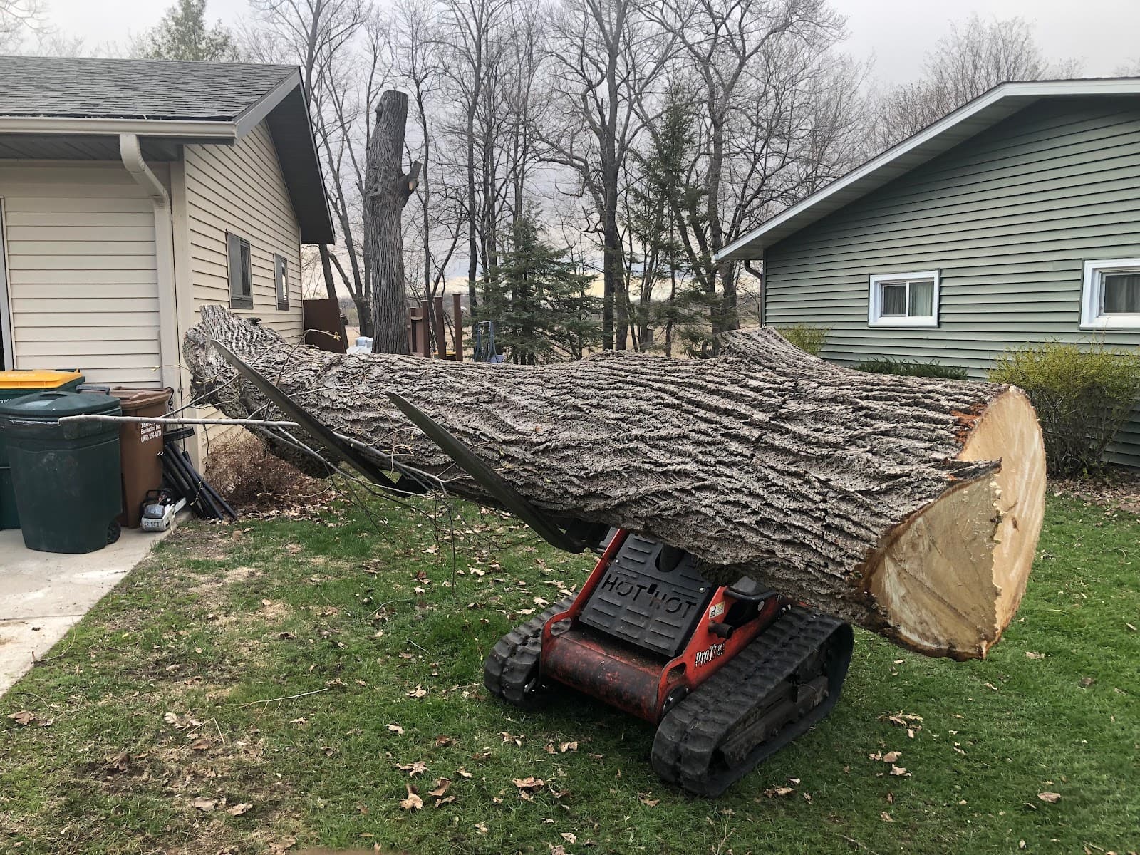 Freeborn-Mower Tree Service